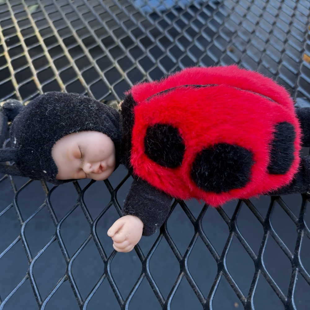 Anne Geddes Ladybug